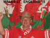 Wales23-England15copy.gif