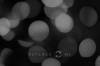 Bokeh.jpg