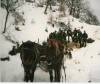 SCAN0039.jpg