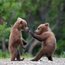 jack murphy's Avatar