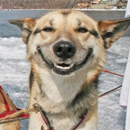 gerald.huntley1's Avatar